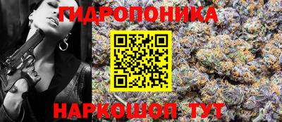 СК Гагарин
