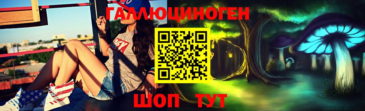 Псилоцибиновые грибы Psilocybine cubensis  Вход с VPN  Можайск  Псилоцибиновые грибы Cubensis 