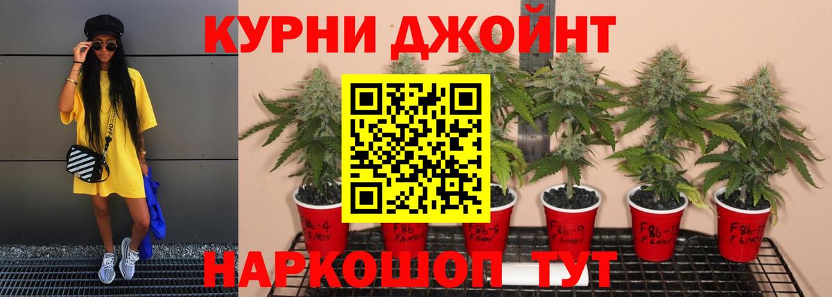 Канабис SATIVA & INDICA  Канабис SATIVA & INDICA  Можайск  Вход с VPN  Бошки Шишки Bruce Banner 
